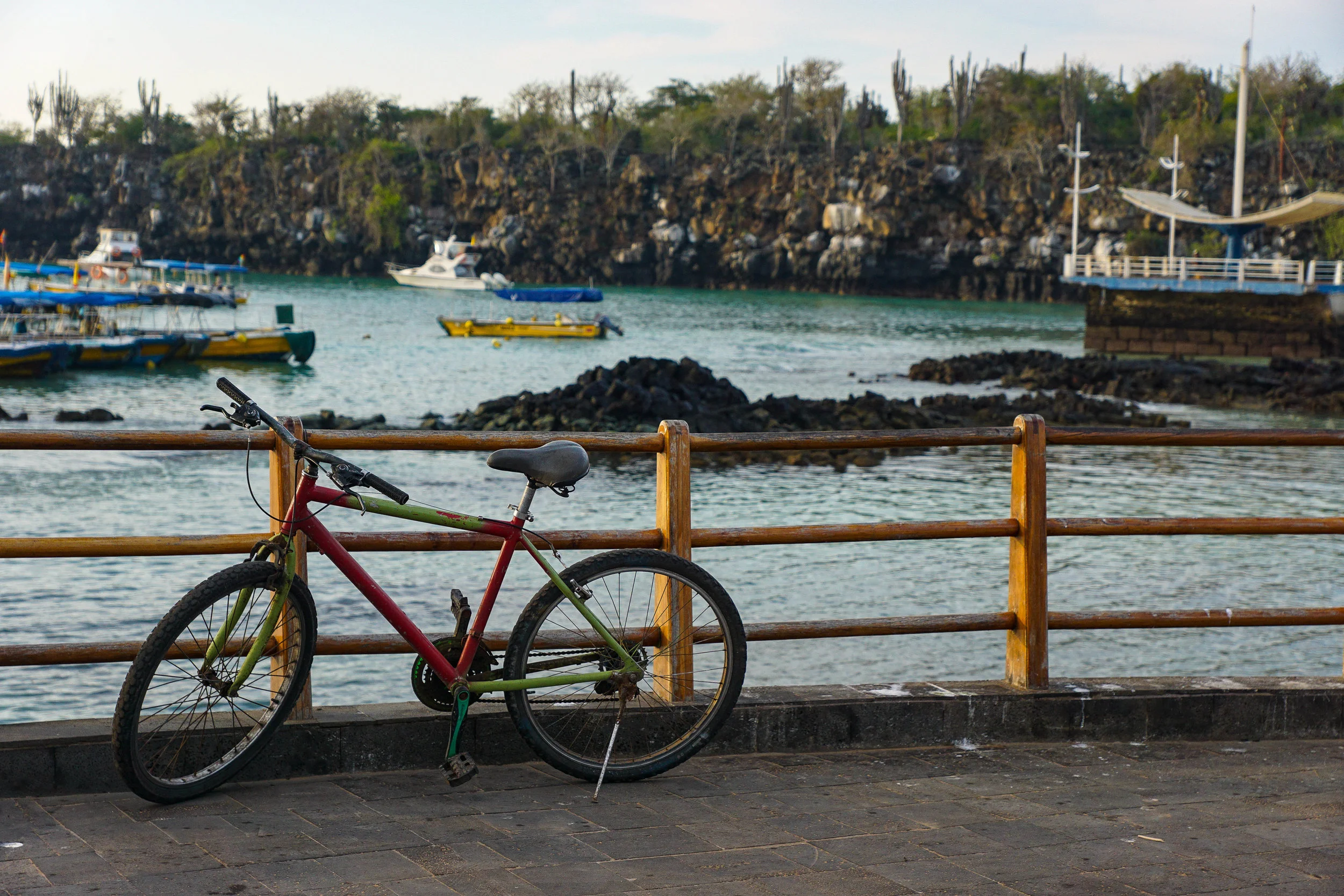 SantaCruz_docks.jpg