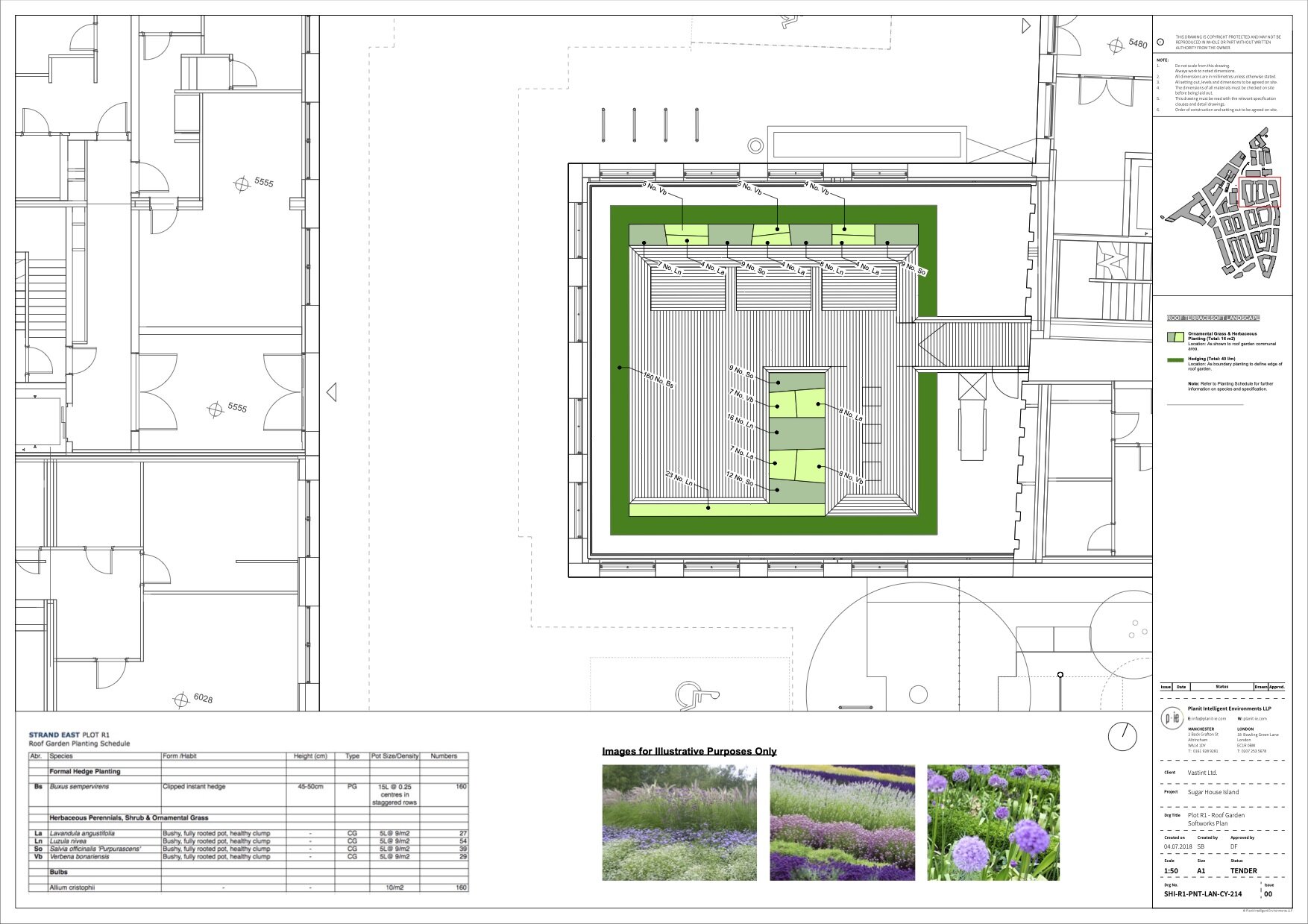 SHI-R1-PNT-LAN-CY-214-Plot R1 Roof Garden - Softworks Plan.jpg