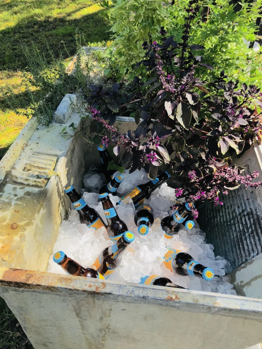 The old laundry sink repurposed into herb garden and drinks cooler.