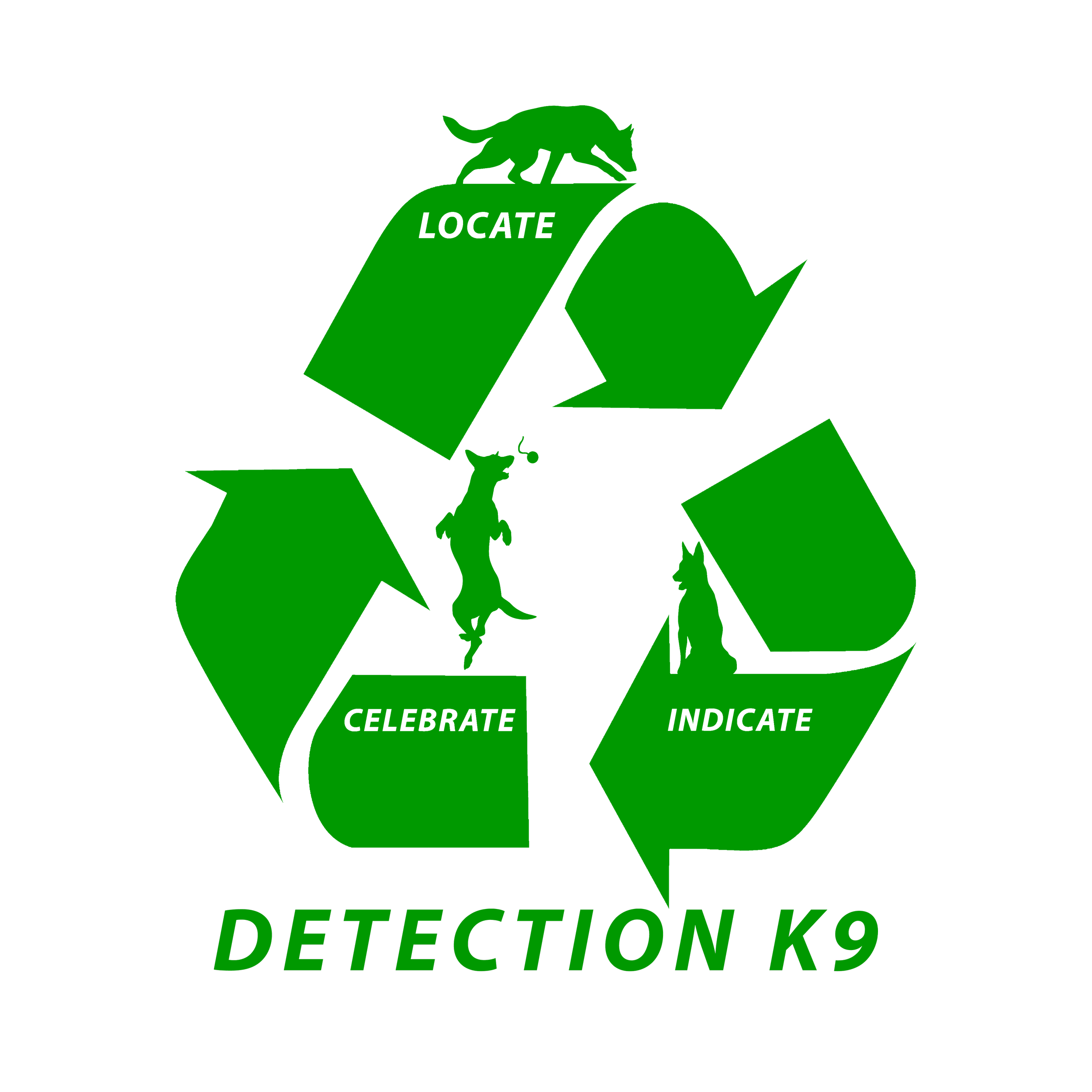 Large PNG Detection K9.png
