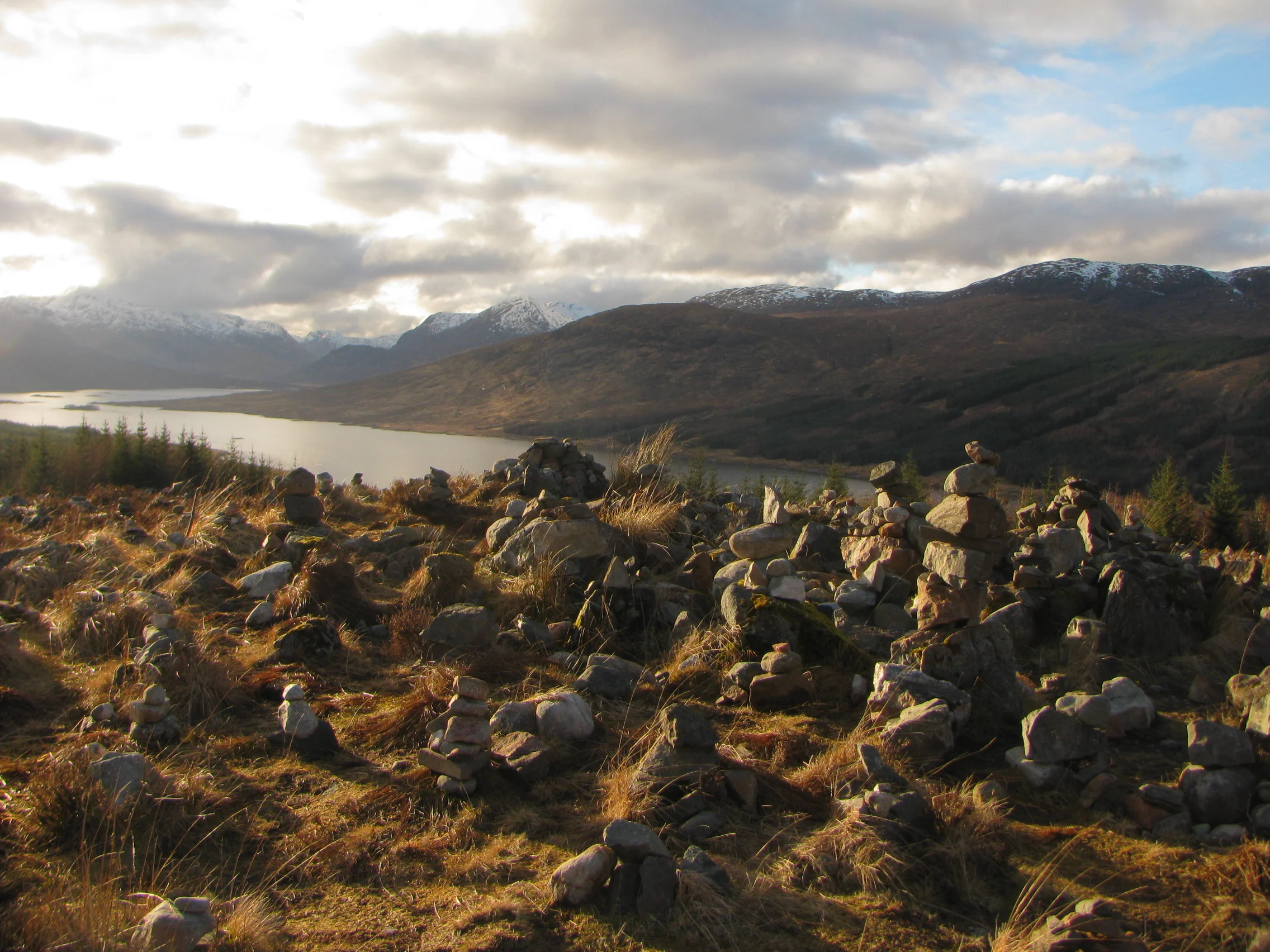 No Purchase Necessary