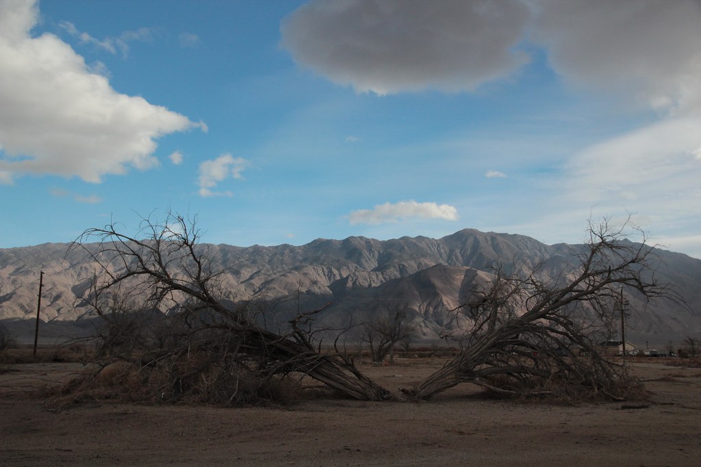 Why would I ever want to be one of them