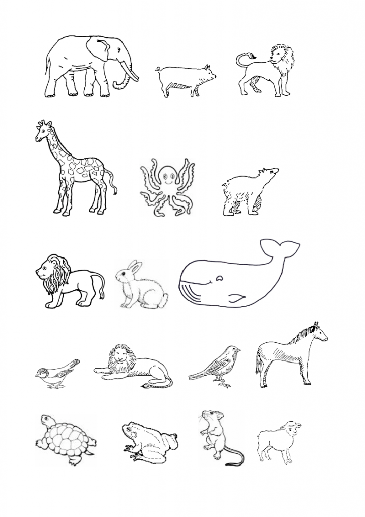 9God-made-many-animals-lessonEng-_005-724x1024.png