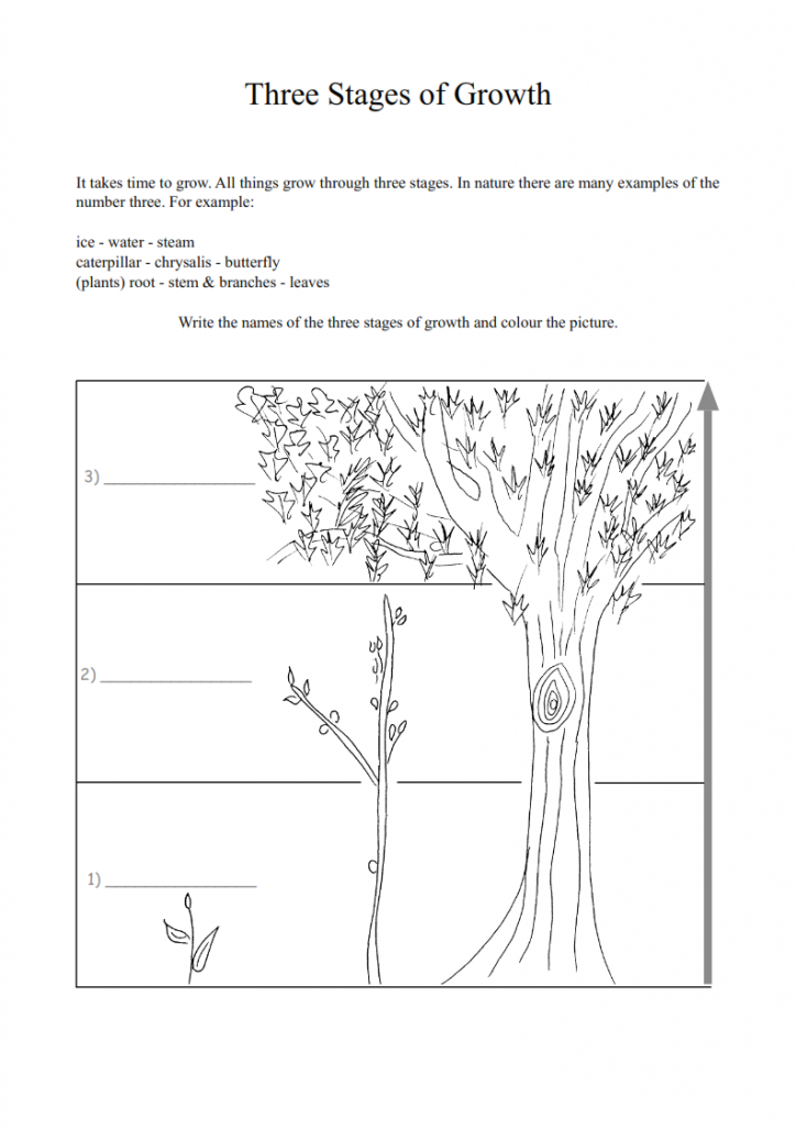 14.-How-We-Grow-lessonEng_006-724x1024.png