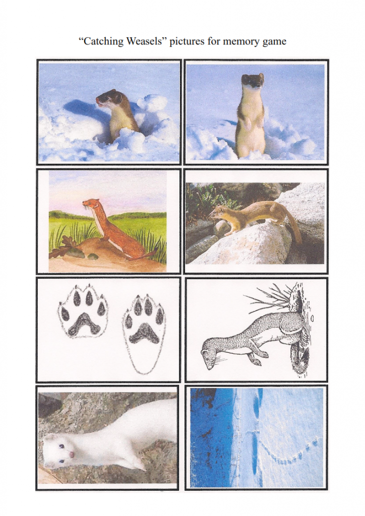 5.-The-Weasel-lesson_007-724x1024.png