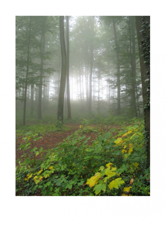 2.-Explaining-God-lessonEng_007-565x800.png