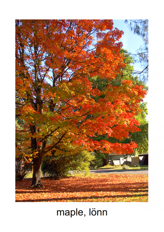 10.-3rd-blessing-lessonEng_012-565x800.png
