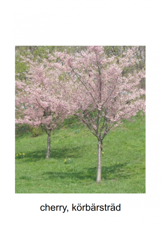 10.-3rd-blessing-lessonEng_013-565x800.png