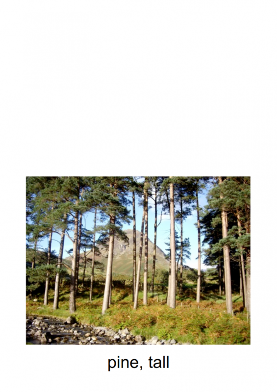 10.-3rd-blessing-lessonEng_017-565x800.png