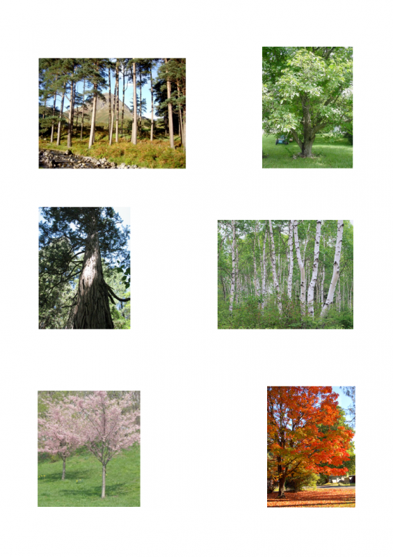 10.-3rd-blessing-lessonEng_021-565x800.png