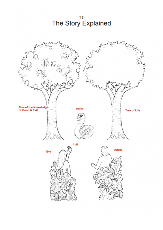 15.-The-Fall-of-Adam-Eve-lessonEng_007-565x800.png