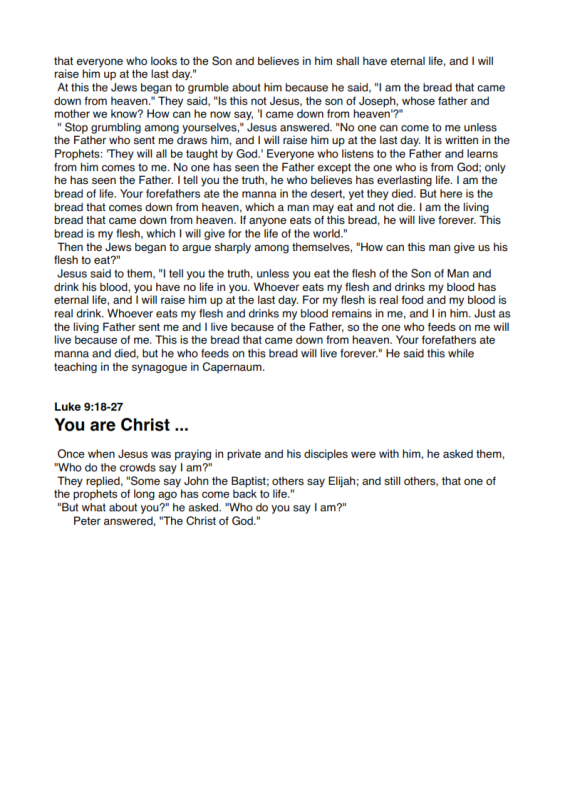 21.-Who-Was-Jesus-lessonEng_005-565x800.png