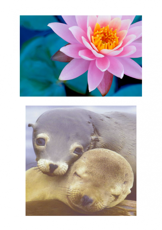 2.-Explaining-God-lessonEng_009-565x800.png