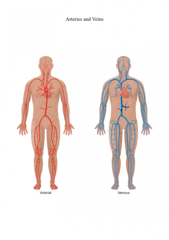 5.-Subject-Object-Pairs-lessonEng_007-565x800.png