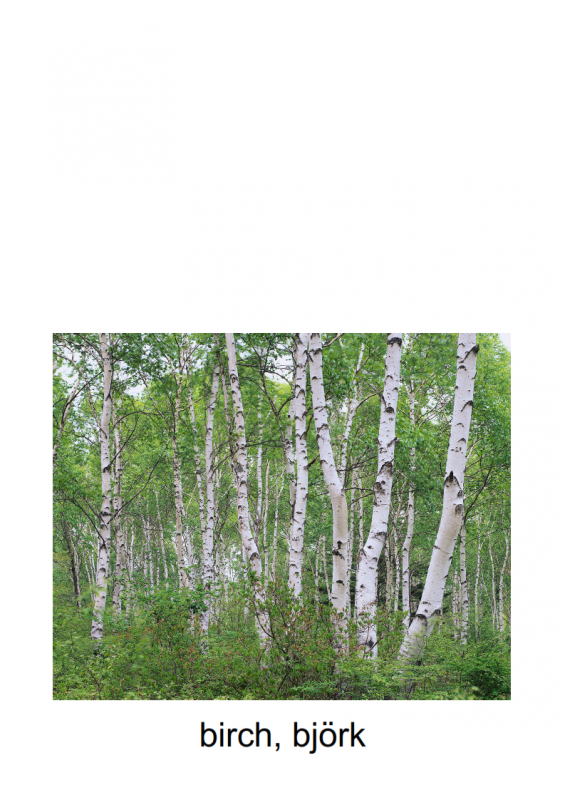 10.-3rd-blessing-lessonEng_016-565x800.png