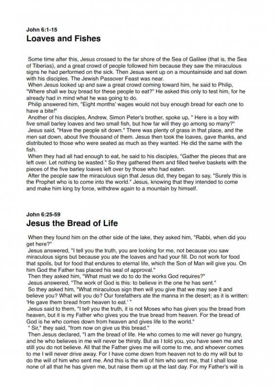 21.-Who-Was-Jesus-lessonEng_004-565x800.png