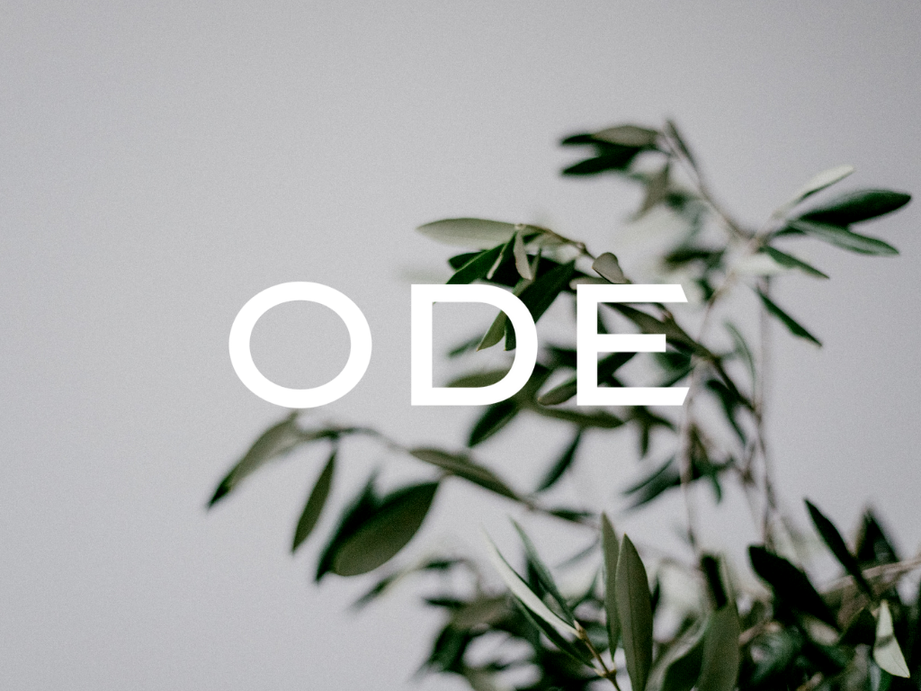 ODE_MMK (1).png