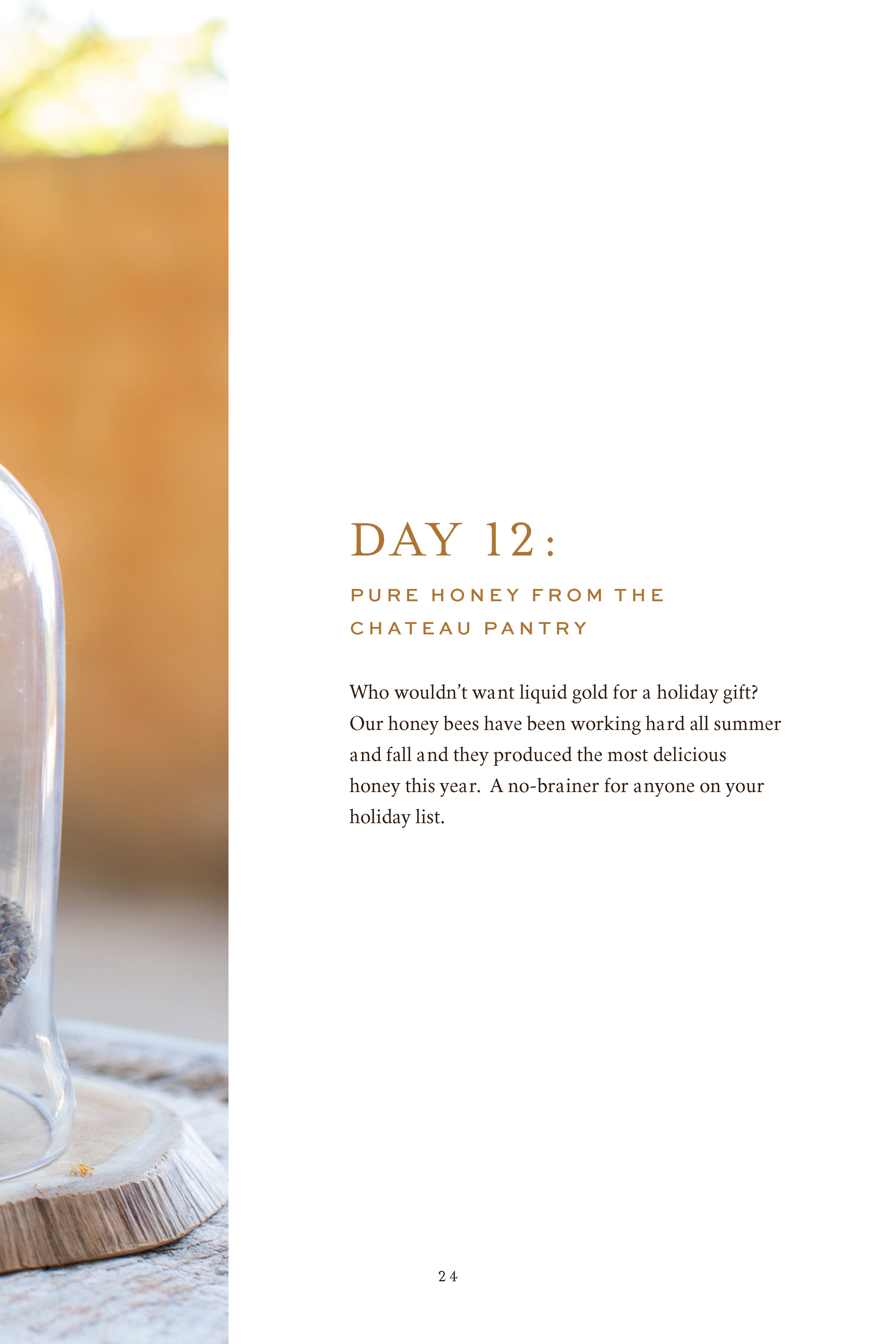 ChateauSonoma_HolidayLookbook_19_pages (1)_Page_25.png