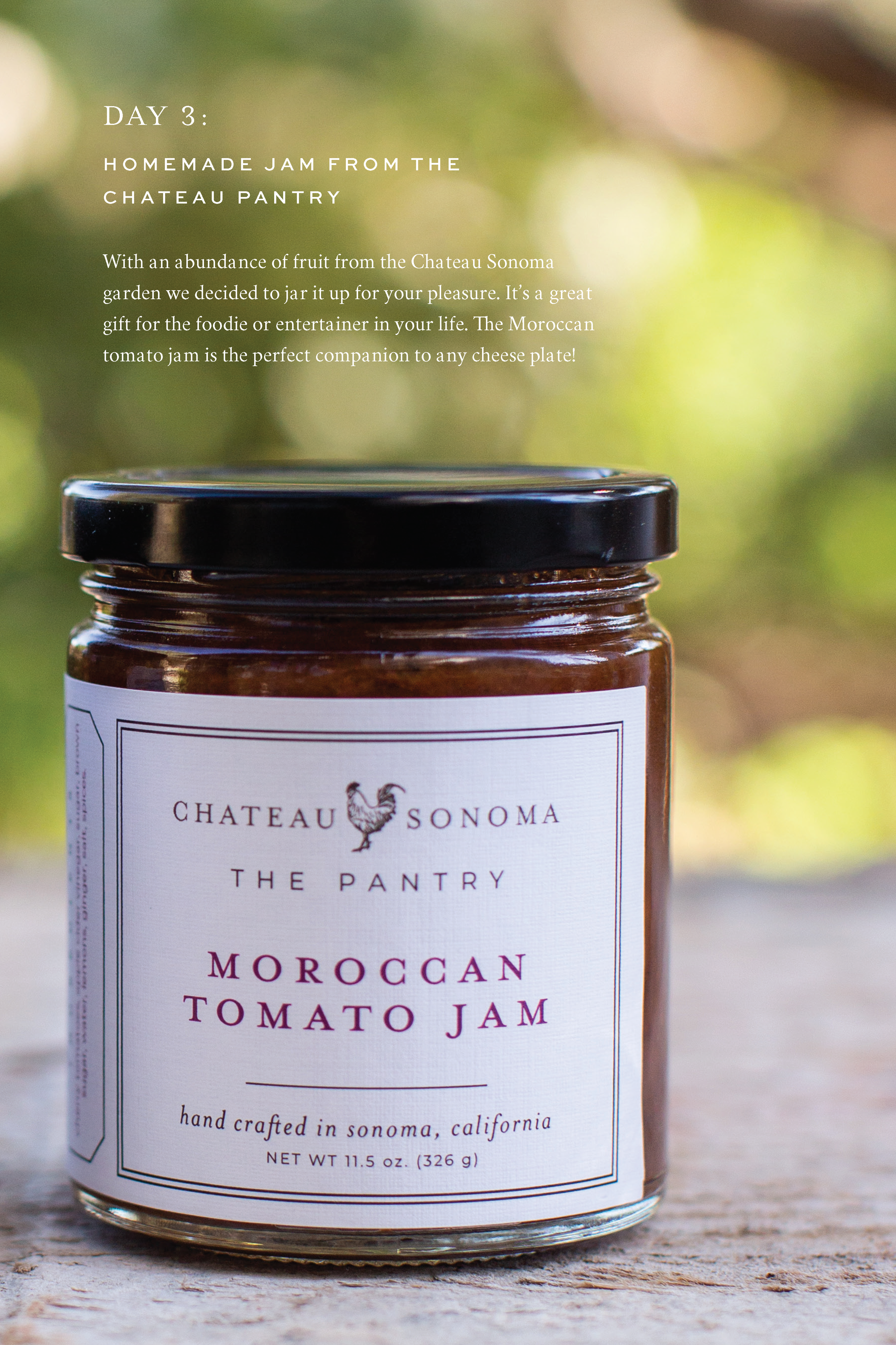 ChateauSonoma_HolidayLookbook_19_pages (1)_Page_09.png