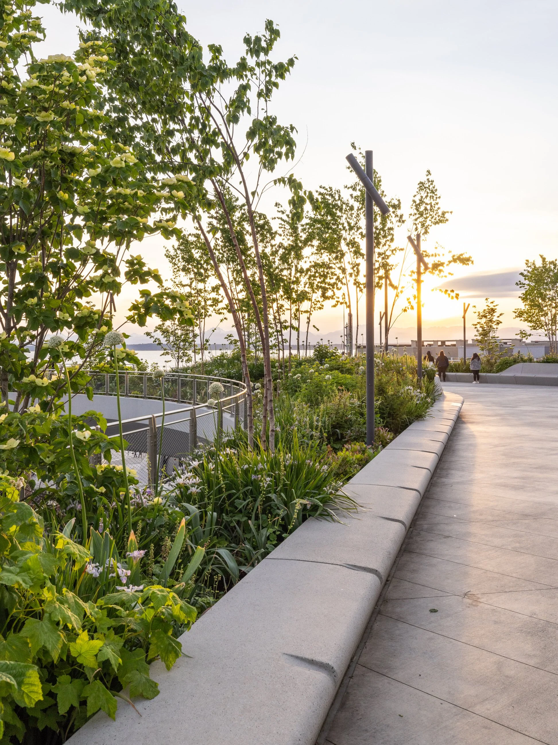 Miranda-Estes-Photography-Seattle waterfront-12.jpg