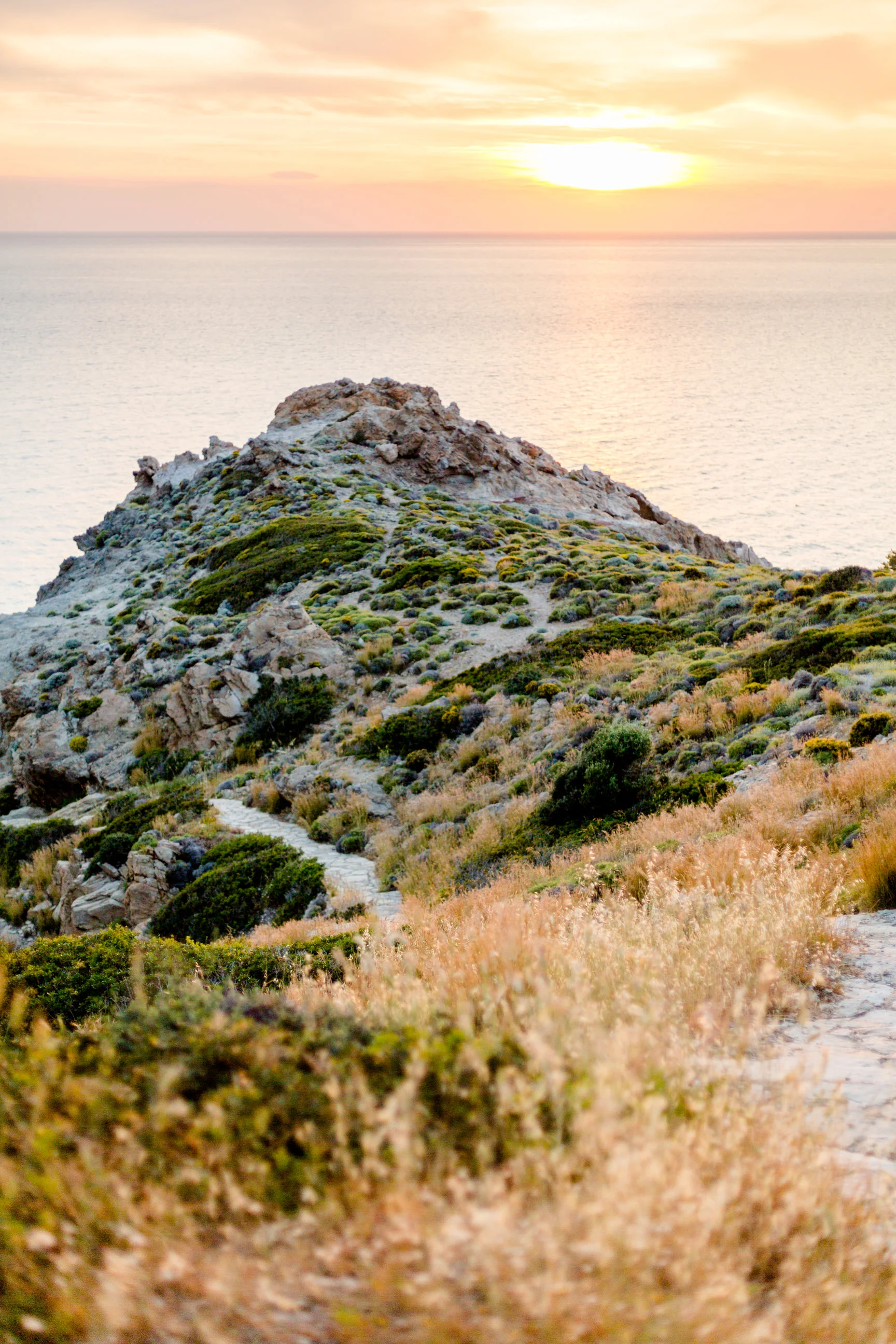 Ikaria