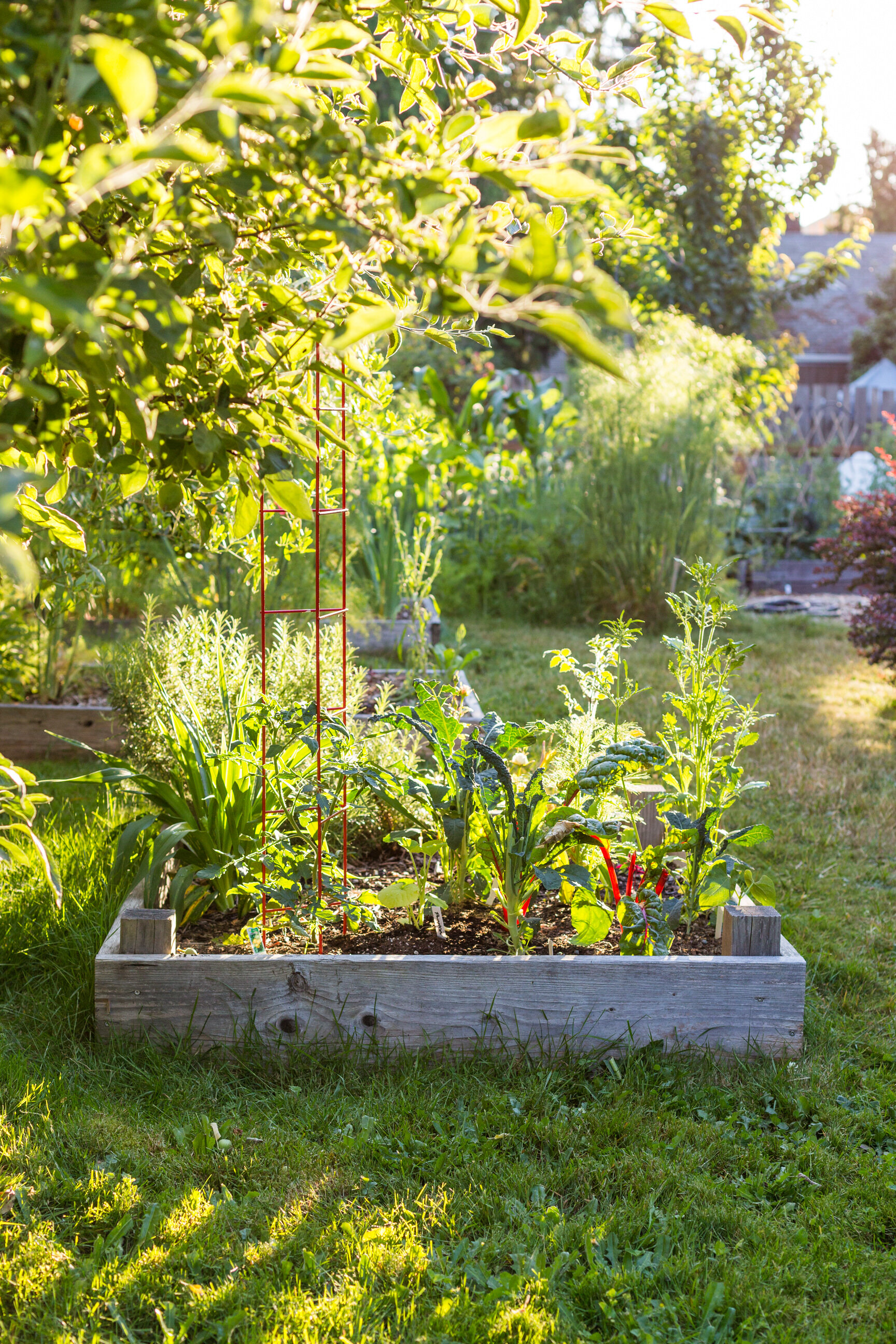 0006-Miranda-Estes-Photography-Mint-Gardener-20190611.jpg