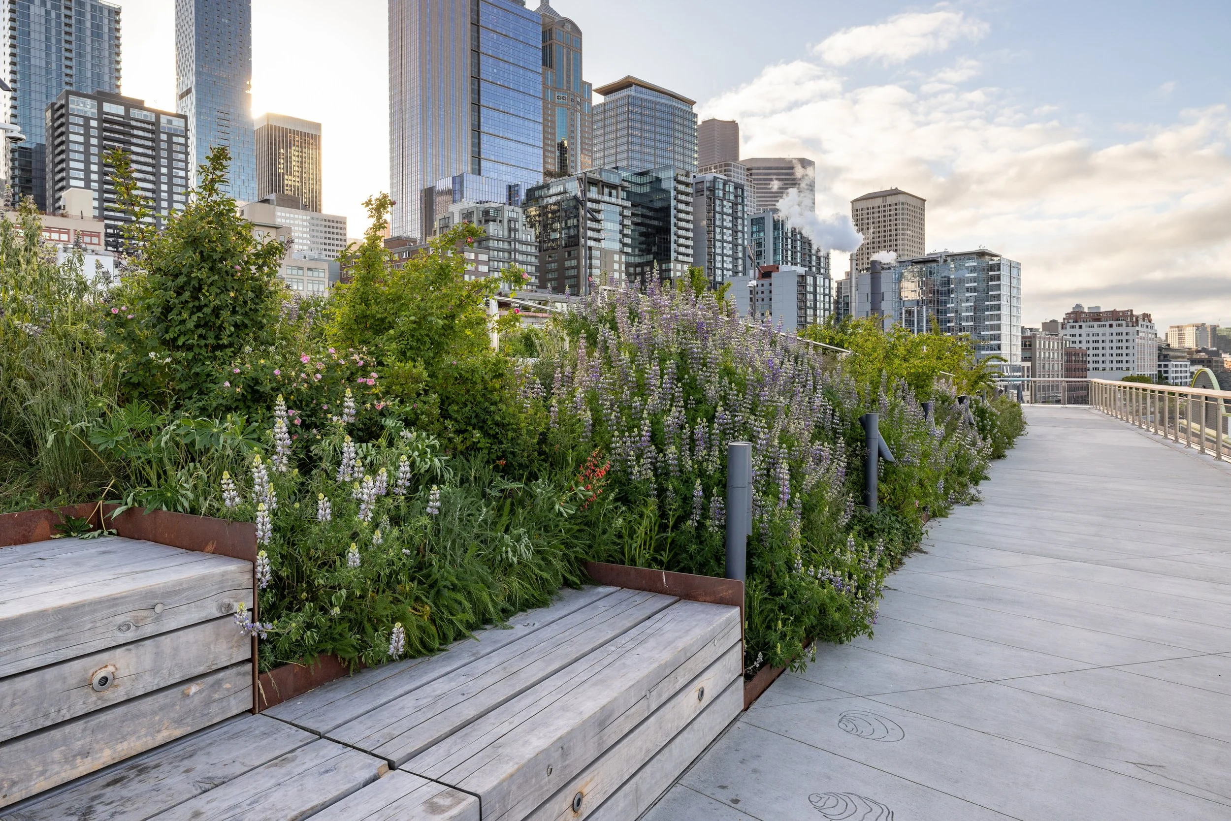 Miranda-Estes-Photography-Seattle waterfront-1-3.jpg