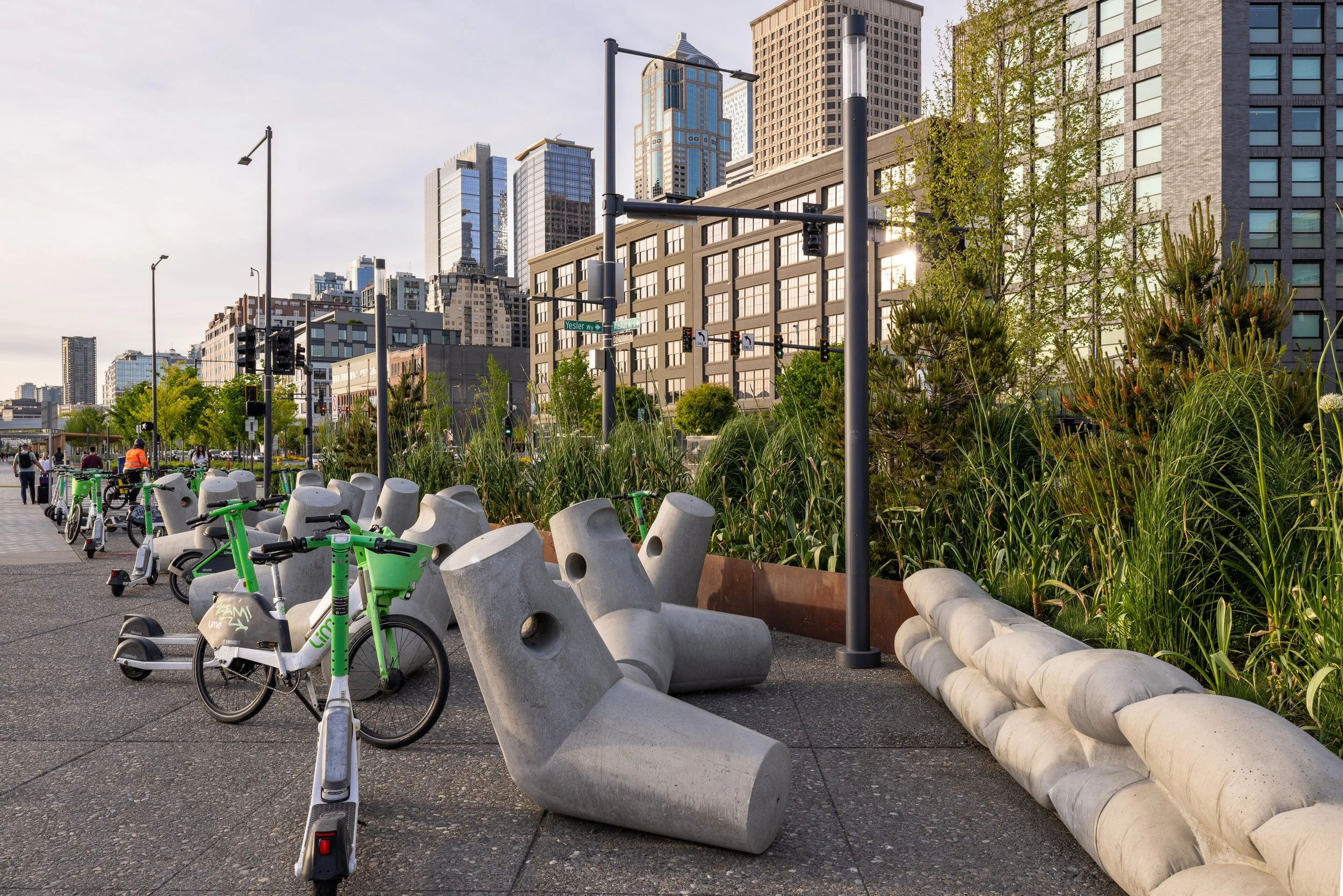 Miranda-Estes-Photography-Seattle waterfront-3.jpg