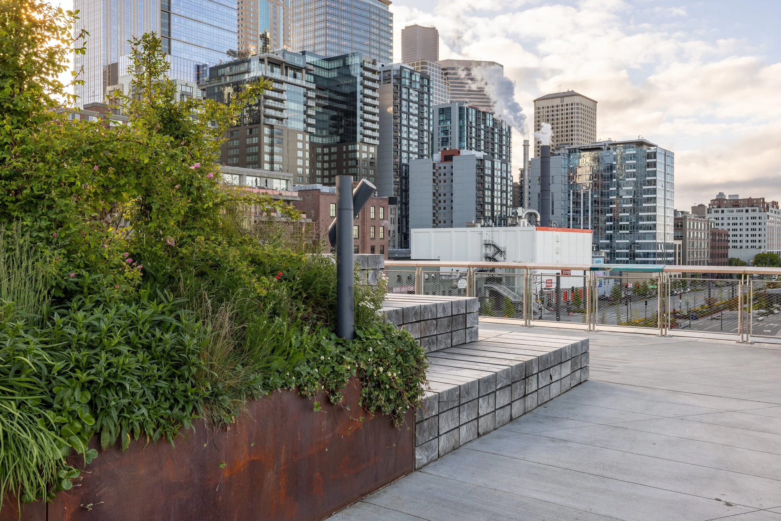 Miranda-Estes-Photography-Seattle waterfront-14.jpg