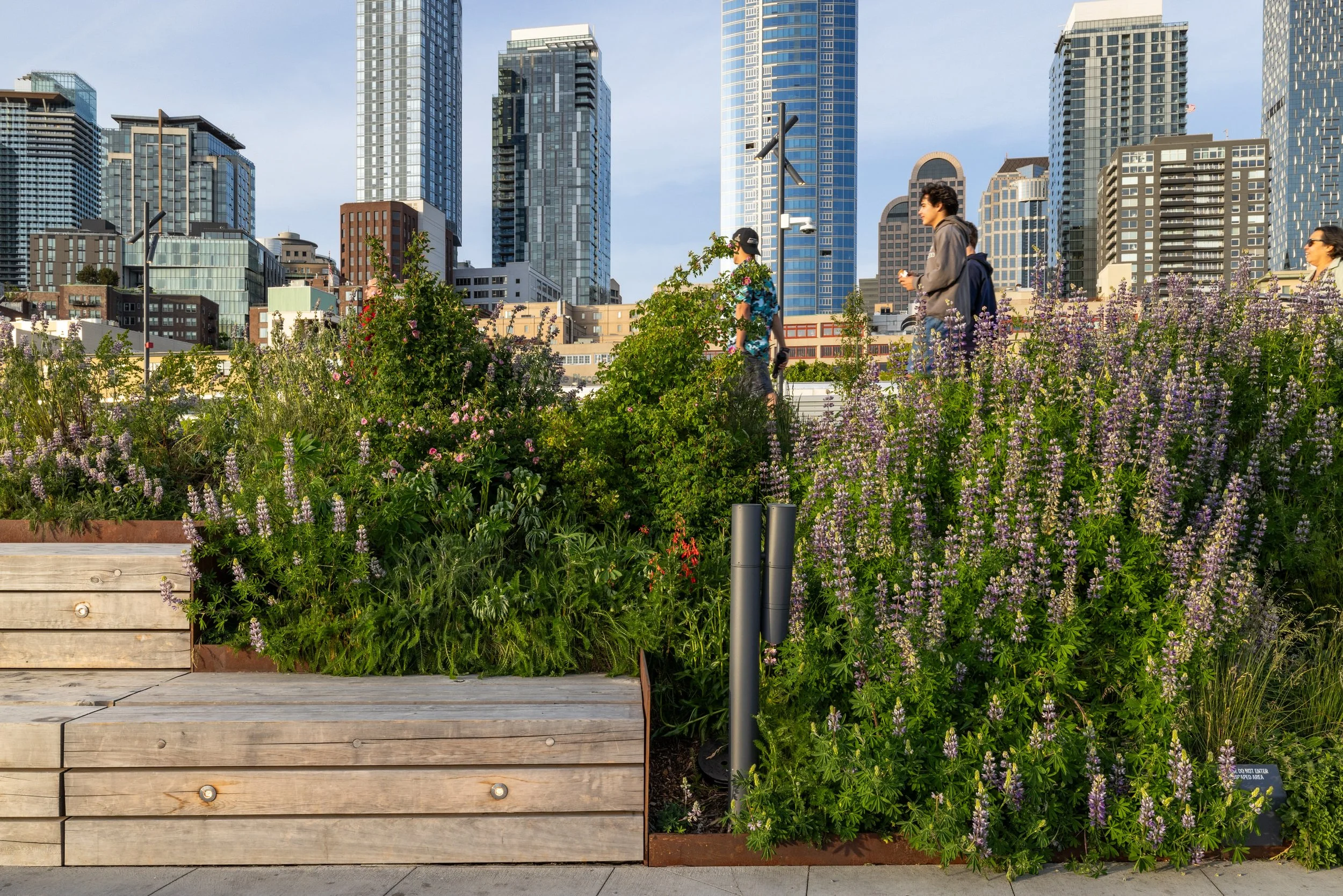 Miranda-Estes-Photography-Seattle waterfront-8.jpg