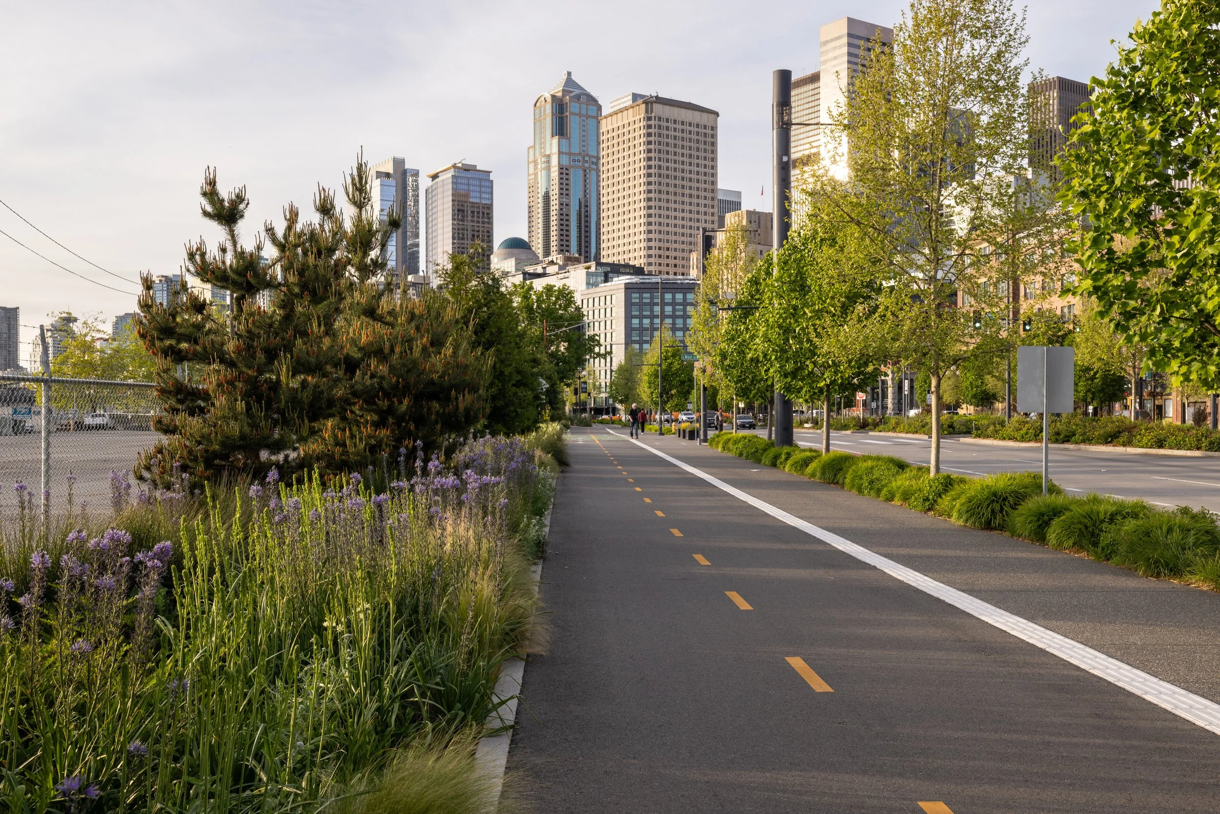 Miranda-Estes-Photography-Seattle waterfront-2.jpg