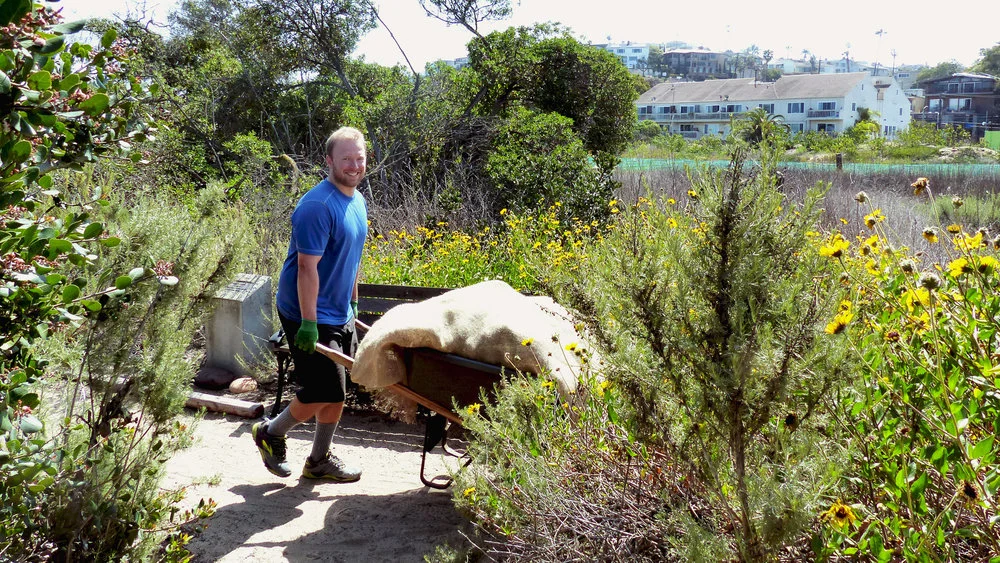 Community Restoration