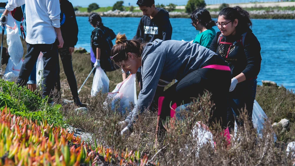Ballona Creek Clean-up