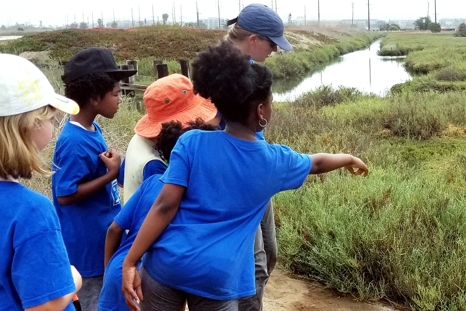 Explore Ballona Nature Camp Friends Of Ballona Wetlands