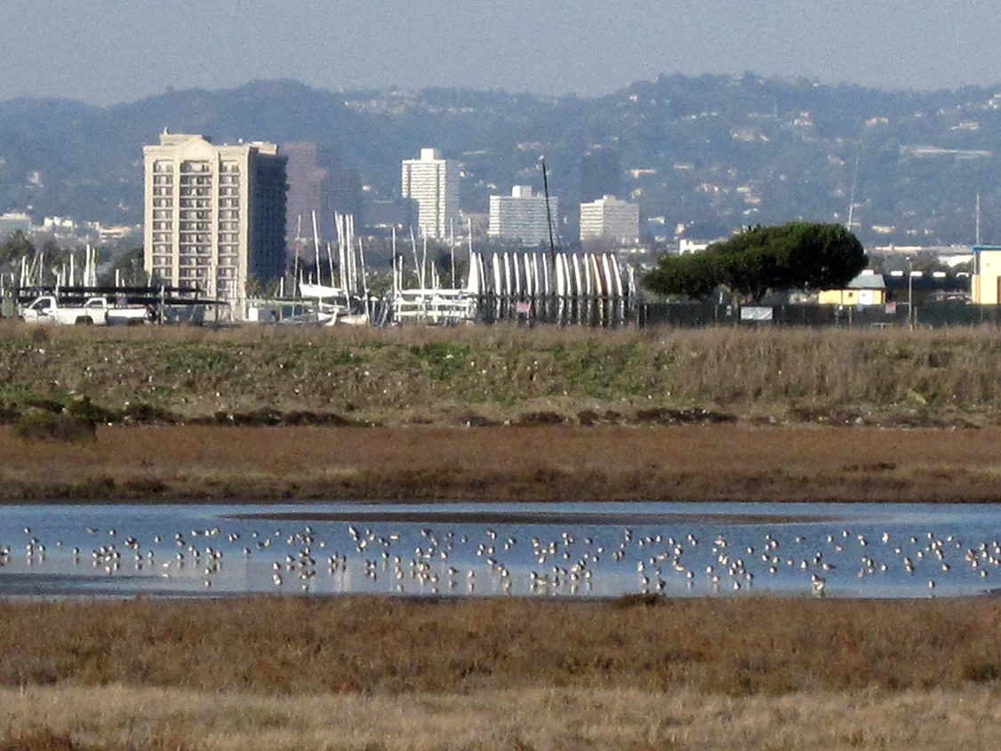 Salt Pan