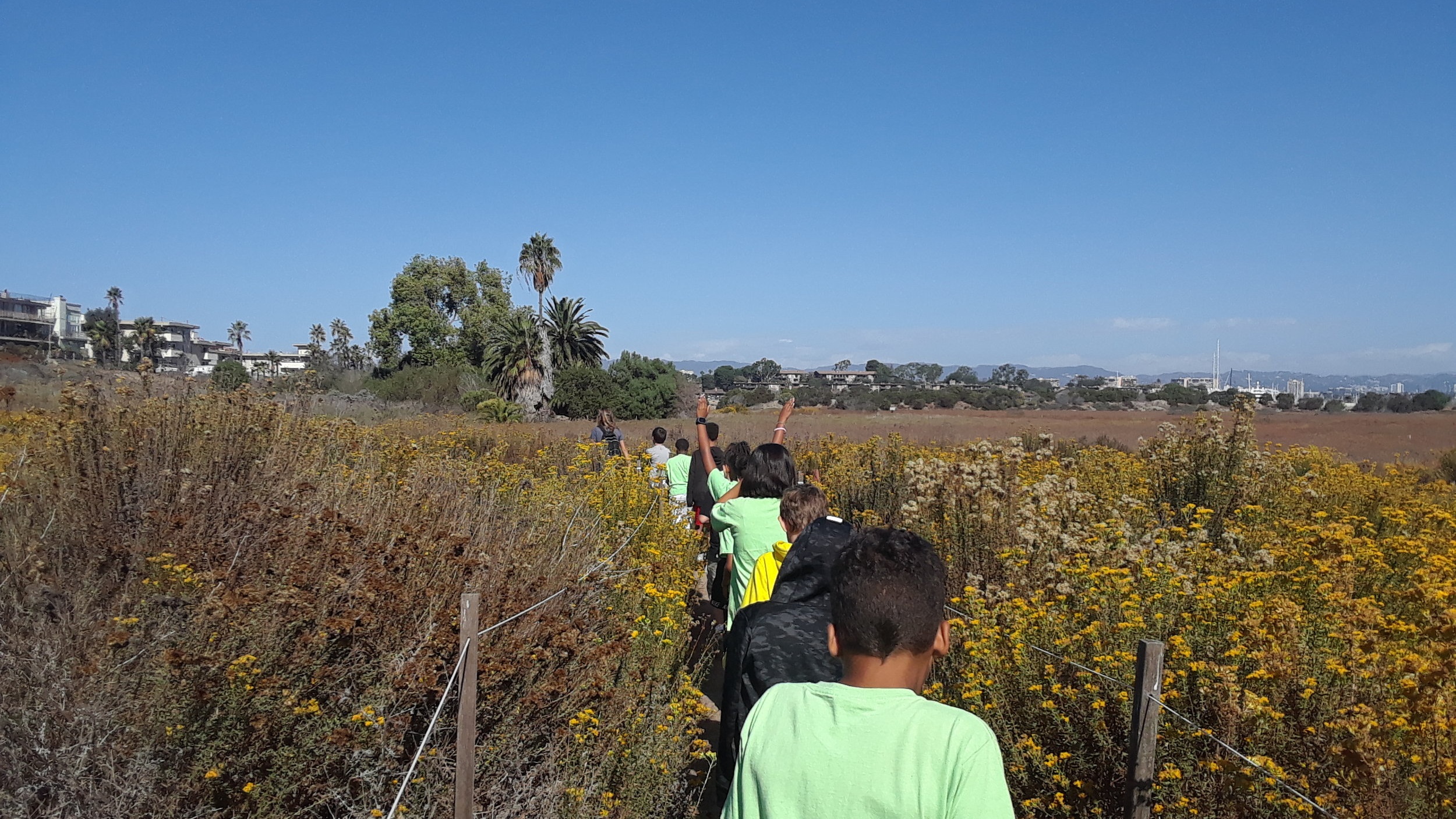 Students walking through Saltwater Marsh