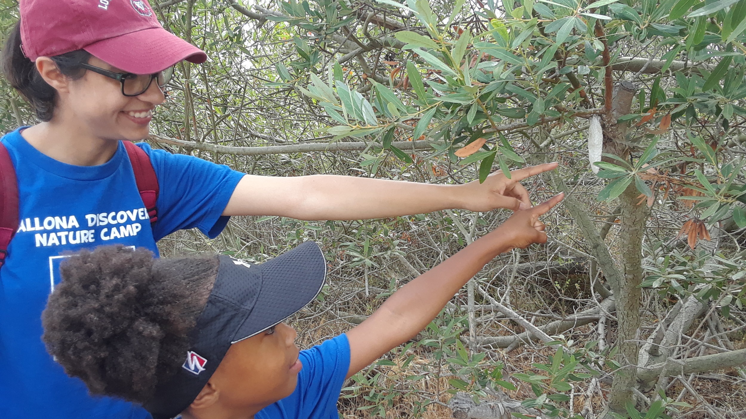 intern pointing out plant to a camp member