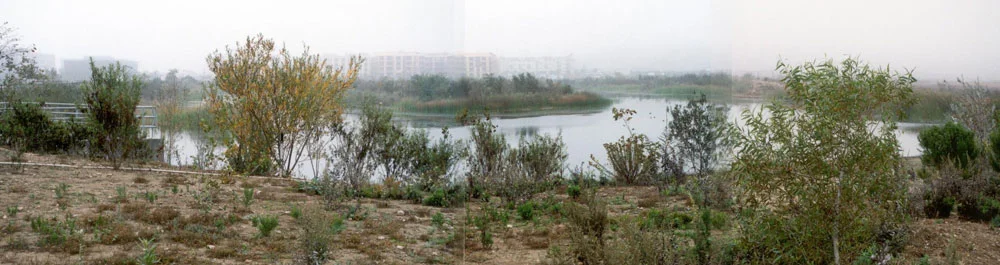 Marsh opens, 2003.