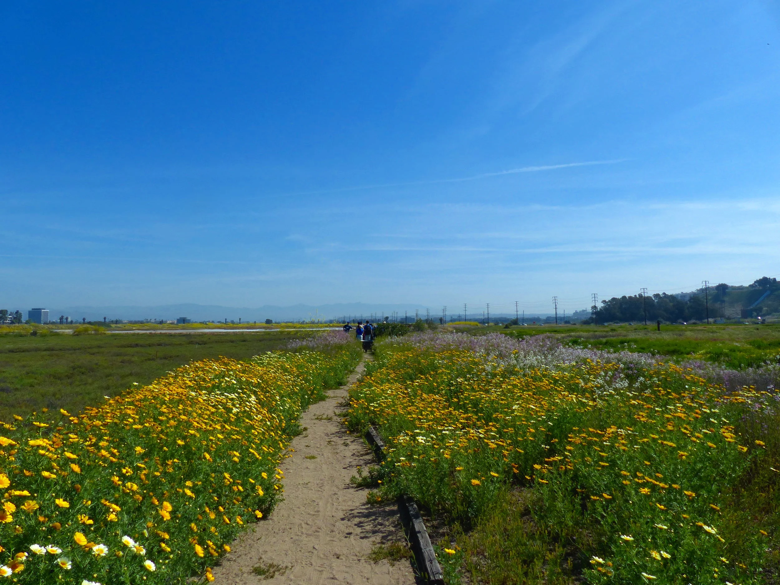 trestletrailtour.jpg