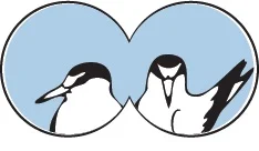 Explore Ballona Terns logo