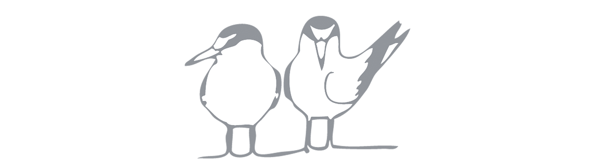 ternsONwhiteWIDE.png