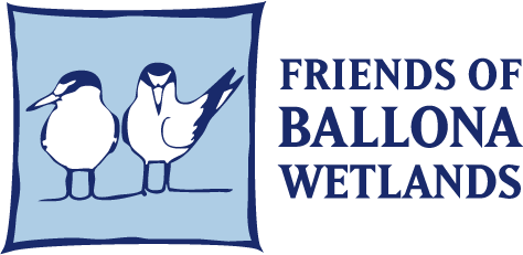 Friends of Ballona Wetlands