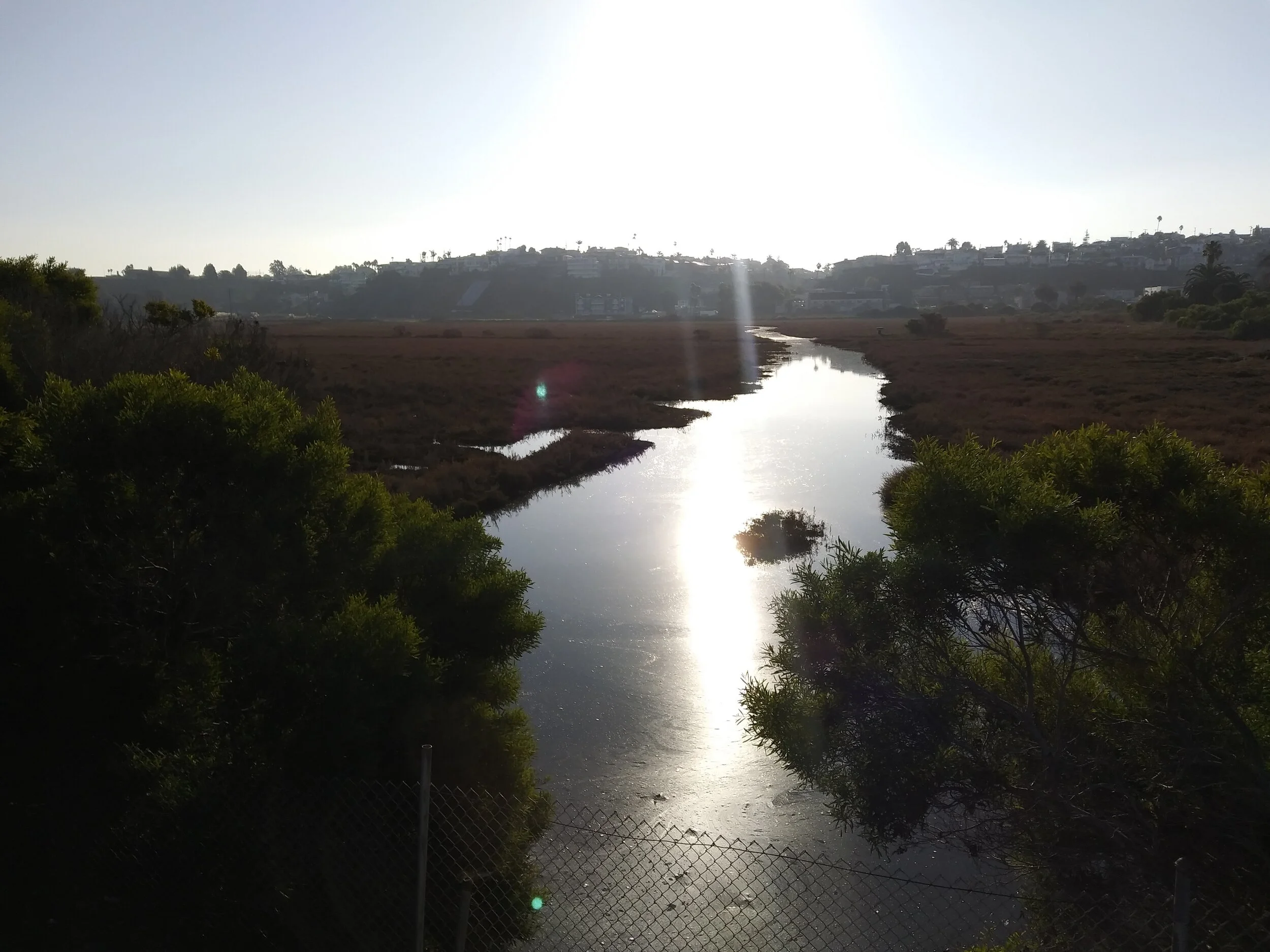 The Final Environmental Impact Report Released!