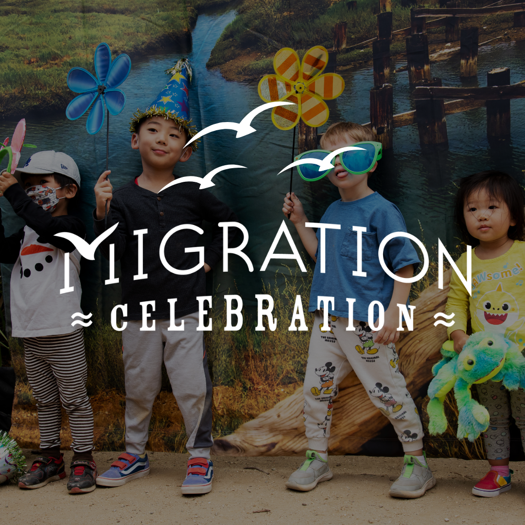 Migration Celebration!