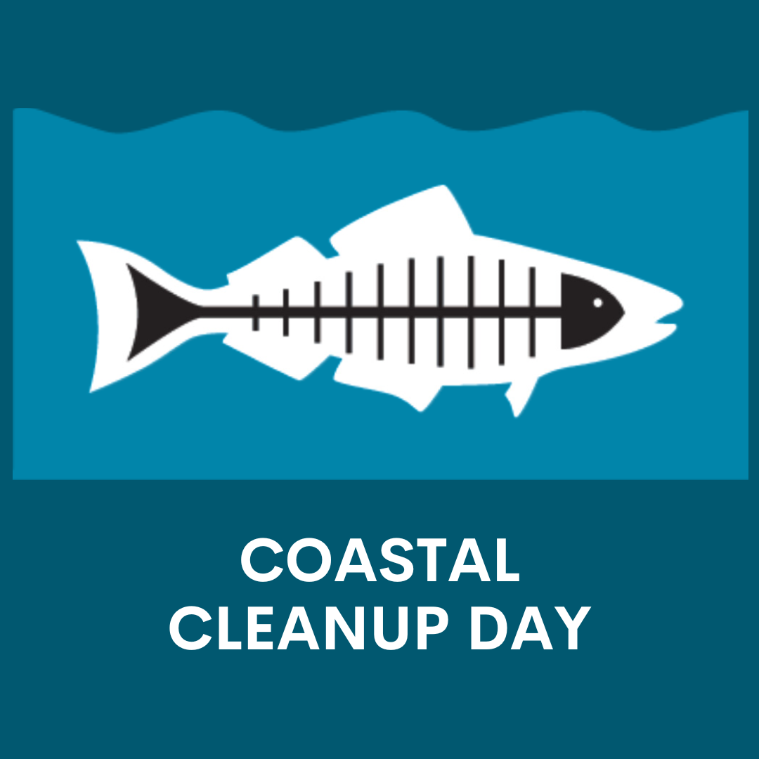 Coastal Cleanup Day at the Ballona Wetlands Ecological Reserve