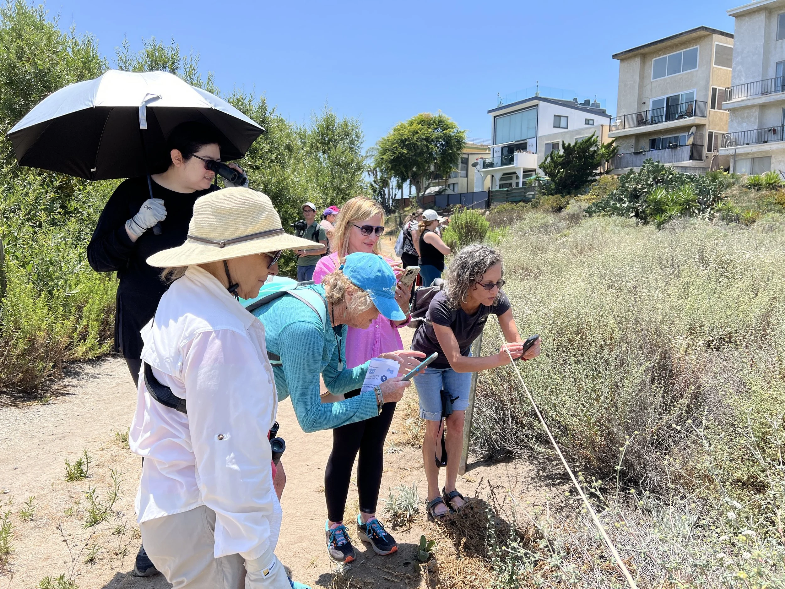 Photo Gallery — Friends of Ballona Wetlands
