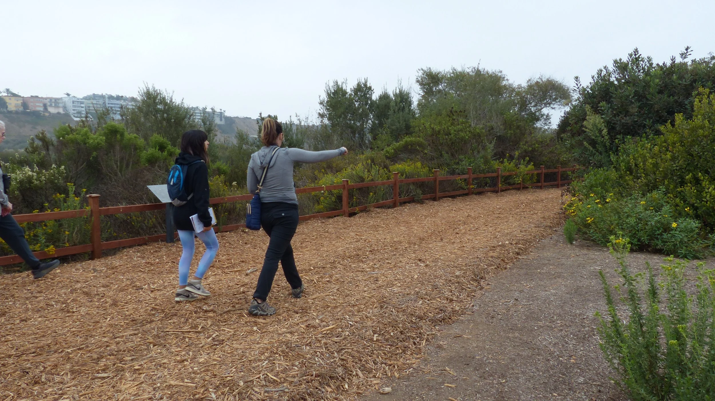 The Jefferson Trail has been reopened! 