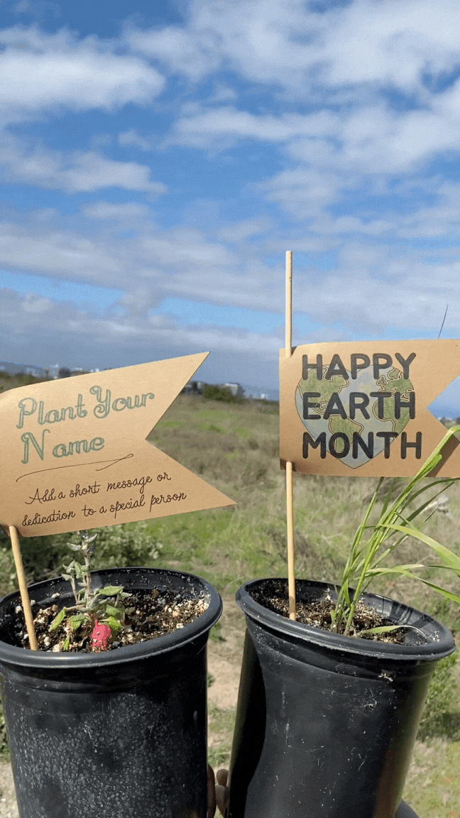 Untitled (1080 x 1920 px).gif