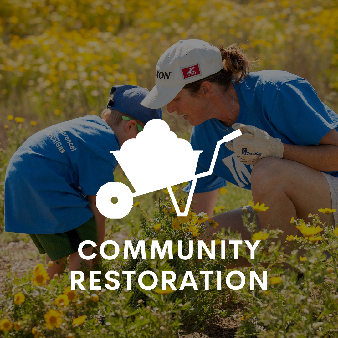 Community Habitat Restoration in Collaboration with LA Works