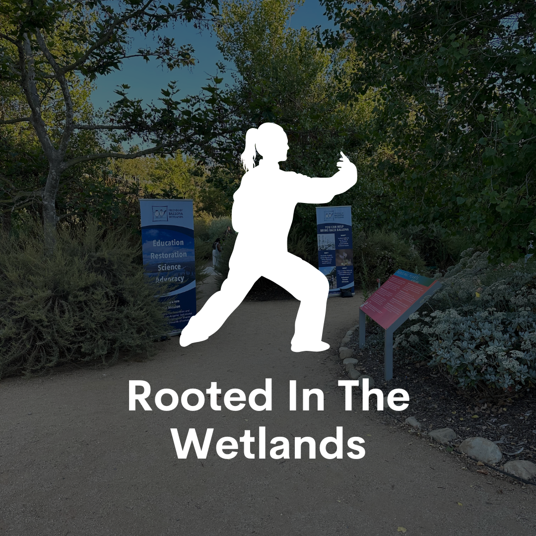 Rooted in the Wetlands